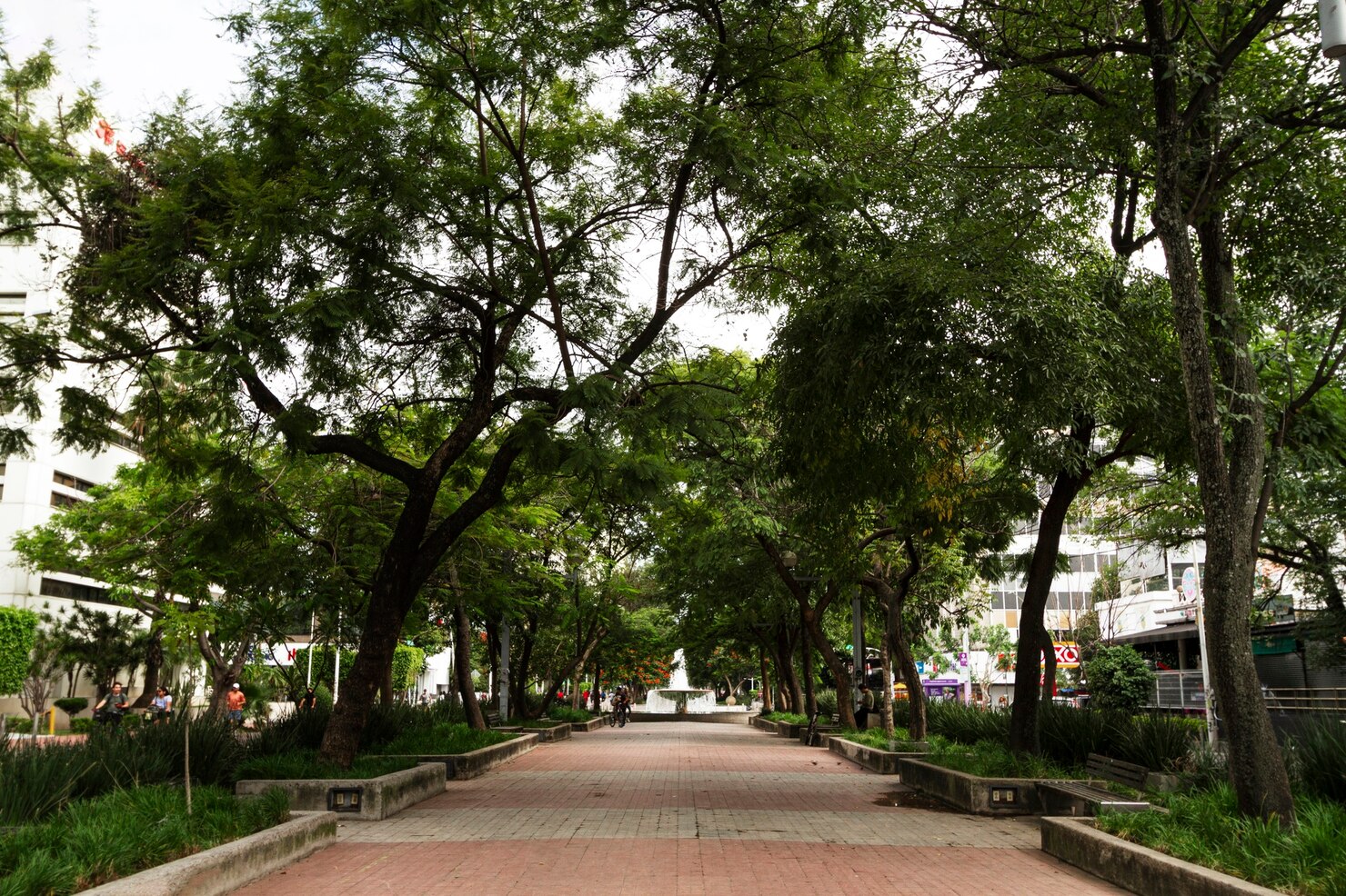 Vista del bosque de Chapultepec